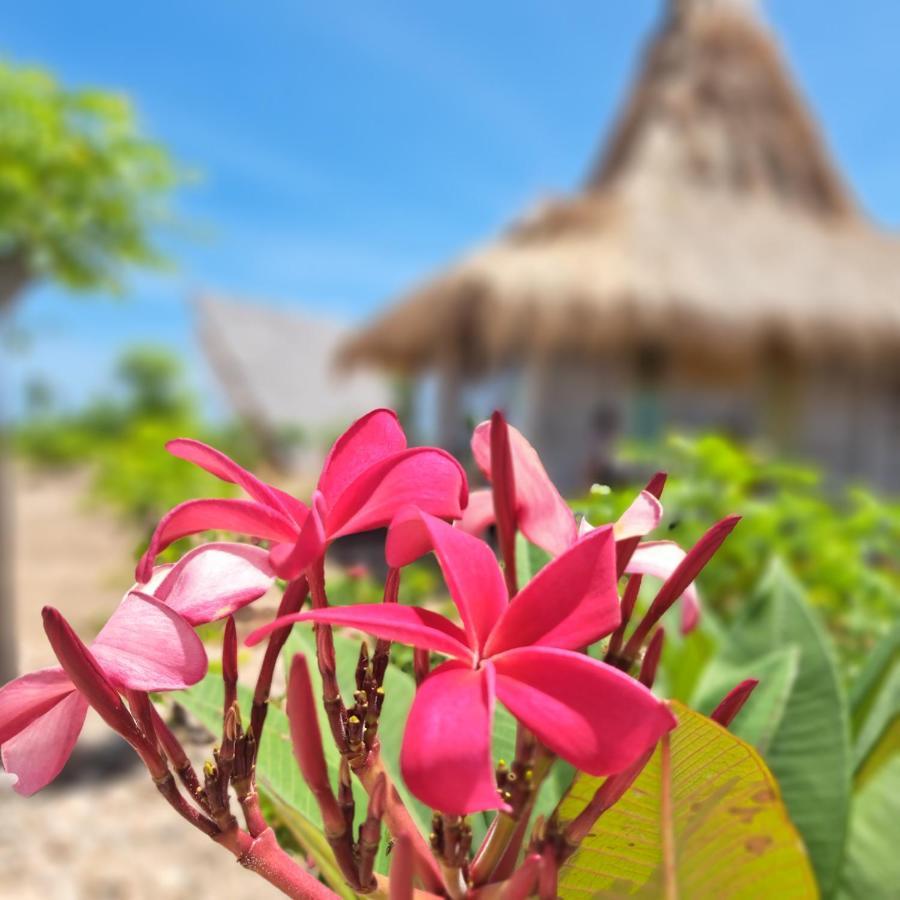 Hars Garden Sumba Hotel Уайнгапу Екстериор снимка